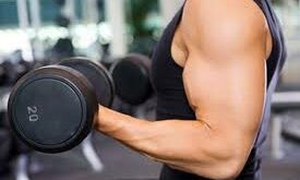 Muscle Building Diet-Ten quick tips for body builders!