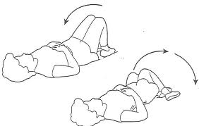 Trunk Rotation Exercise