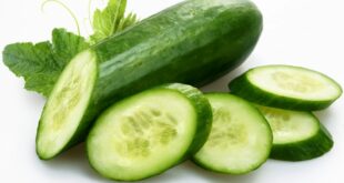 Benefits of Cucumbers on Skin and Health
