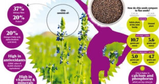 Home > Health Care > Chia Seeds Health Benefits for Weight Loss, Diabetes, Pregnancy Chia Seeds Health Benefits for Weight Loss, Diabetes, Pregnancy