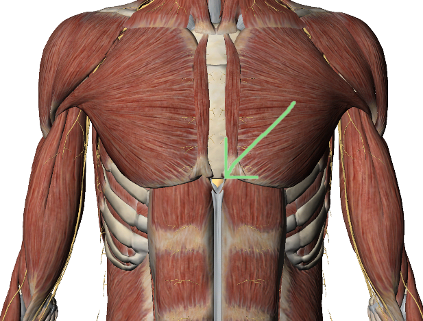 pain in centre of chest bone