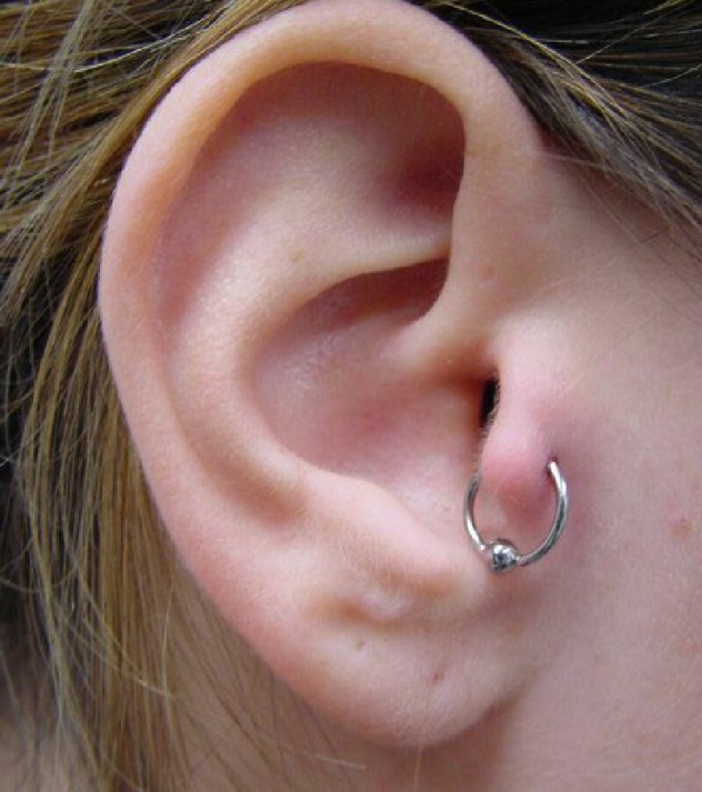 Tragus Piercing - Pain level, Healing time, Types, Cost, Jewelry