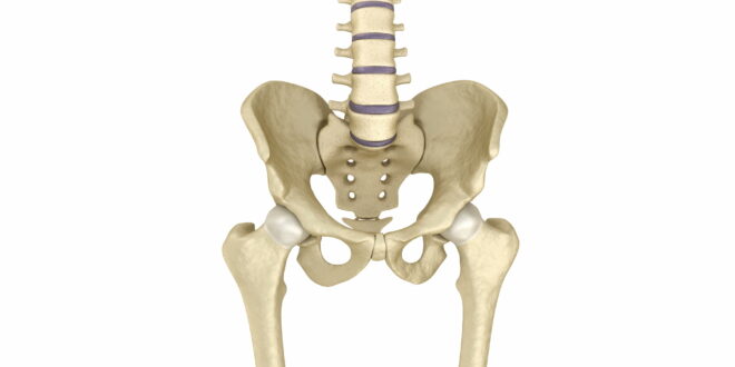 platypelloid-pelvis-definition-symptoms-causes-treatment