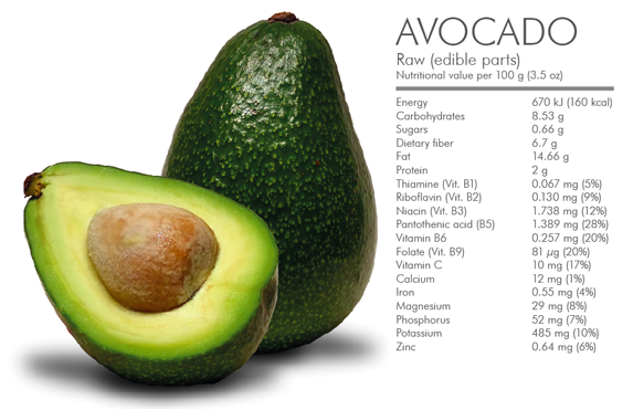 Avocado Health Benefits for Babies, Pregnancy, Liver, Hair, Skin
