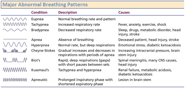 Major Abnormal Breathing Patterns
