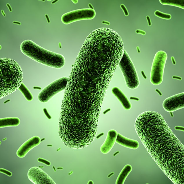 Eikenella Corrodens Transmission, Infection, Periodontitis Treatment