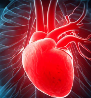 Type 1 vs Type 2 NSTEMI ICD-10, Treatment, Management